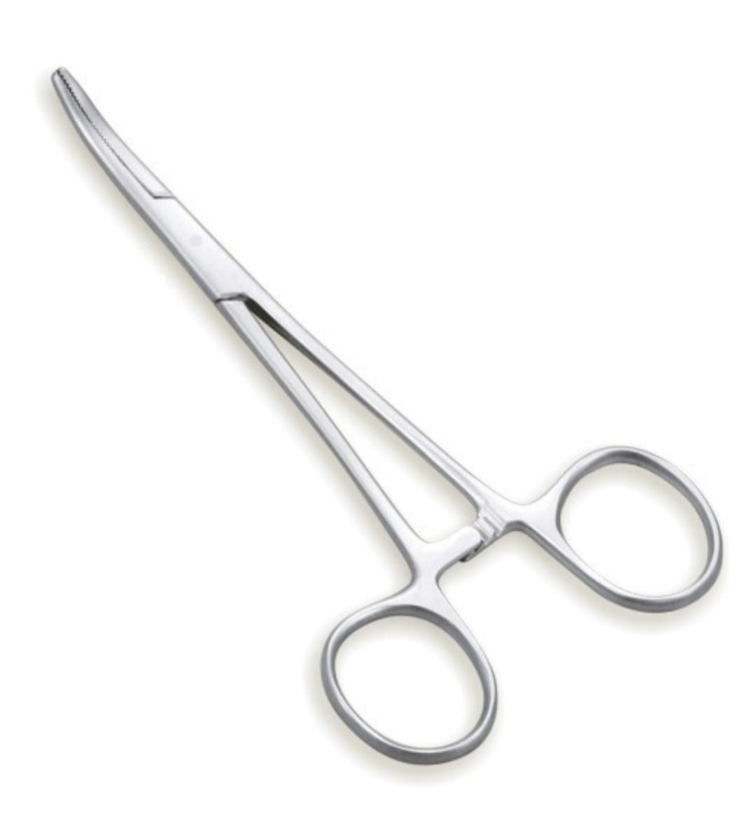 Artery Forceps Curved Stainless Steel 5 to 6 inches - Medstore