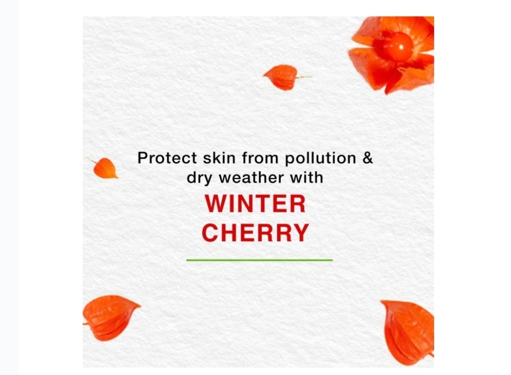 Screenshot_20240211-233521_Gallery